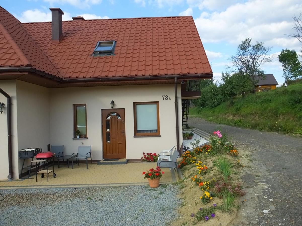 Pensjonat Na Zielonym Wzgorzu Zawoz Bagian luar foto